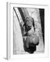 Dog Gargoyle-null-Framed Photographic Print