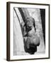 Dog Gargoyle-null-Framed Photographic Print