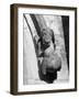 Dog Gargoyle-null-Framed Photographic Print