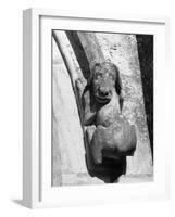 Dog Gargoyle-null-Framed Photographic Print