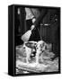 Dog Gets Snow Brushed from His Coat by Hotel Doorman-Alfred Eisenstaedt-Framed Stretched Canvas
