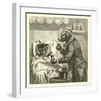 Dog Giving Pills to Sick Cat-null-Framed Giclee Print