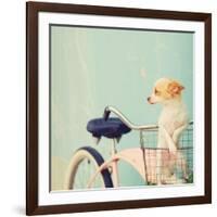 Dog Gone-Mandy Lynne-Framed Art Print