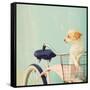 Dog Gone-Mandy Lynne-Framed Stretched Canvas