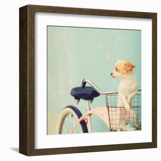 Dog Gone-Mandy Lynne-Framed Art Print