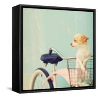 Dog Gone-Mandy Lynne-Framed Stretched Canvas