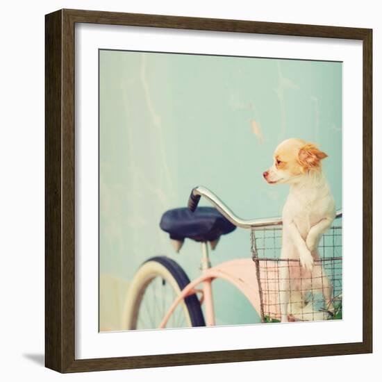 Dog Gone-Mandy Lynne-Framed Art Print