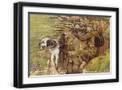 Black Frame