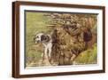 Brown Frame