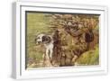 White Frame