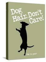 Dog Hair Dont Care-Dog is Good-Stretched Canvas