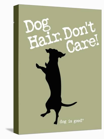 Dog Hair Dont Care-Dog is Good-Stretched Canvas