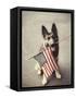 Dog Holding American Flag in Mouth-Robert Llewellyn-Framed Stretched Canvas