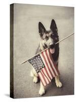 Dog Holding American Flag in Mouth-Robert Llewellyn-Stretched Canvas