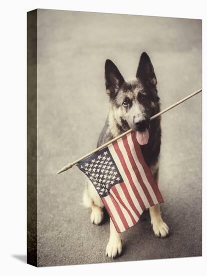 Dog Holding American Flag in Mouth-Robert Llewellyn-Stretched Canvas