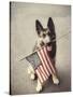 Dog Holding American Flag in Mouth-Robert Llewellyn-Stretched Canvas