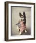 Dog Holding American Flag in Mouth-Robert Llewellyn-Framed Premium Photographic Print