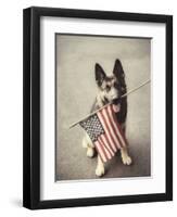 Dog Holding American Flag in Mouth-Robert Llewellyn-Framed Premium Photographic Print