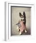 Dog Holding American Flag in Mouth-Robert Llewellyn-Framed Premium Photographic Print