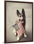 Dog Holding American Flag in Mouth-Robert Llewellyn-Framed Photographic Print