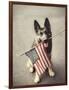 Dog Holding American Flag in Mouth-Robert Llewellyn-Framed Photographic Print