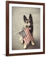 Dog Holding American Flag in Mouth-Robert Llewellyn-Framed Photographic Print