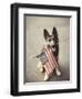 Dog Holding American Flag in Mouth-Robert Llewellyn-Framed Photographic Print