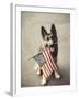 Dog Holding American Flag in Mouth-Robert Llewellyn-Framed Photographic Print