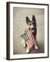 Dog Holding American Flag in Mouth-Robert Llewellyn-Framed Photographic Print