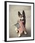 Dog Holding American Flag in Mouth-Robert Llewellyn-Framed Photographic Print