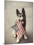 Dog Holding American Flag in Mouth-Robert Llewellyn-Mounted Photographic Print