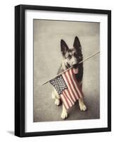 Dog Holding American Flag in Mouth-Robert Llewellyn-Framed Photographic Print