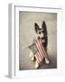 Dog Holding American Flag in Mouth-Robert Llewellyn-Framed Photographic Print