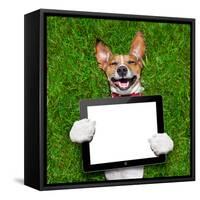 Dog Holding Tablet-Javier Brosch-Framed Stretched Canvas