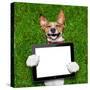 Dog Holding Tablet-Javier Brosch-Stretched Canvas