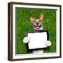 Dog Holding Tablet-Javier Brosch-Framed Photographic Print