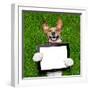 Dog Holding Tablet-Javier Brosch-Framed Photographic Print