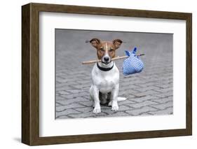 Dog Homeless-Javier Brosch-Framed Photographic Print