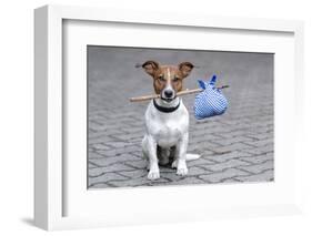 Dog Homeless-Javier Brosch-Framed Photographic Print