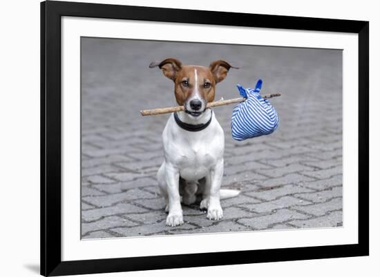 Dog Homeless-Javier Brosch-Framed Photographic Print