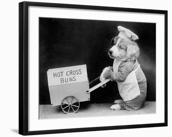 Dog Hot Cross Bun Seller-null-Framed Photographic Print