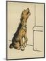 Dog in a Green Collar-Cecil Aldin-Mounted Photographic Print