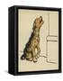 Dog in a Green Collar-Cecil Aldin-Framed Stretched Canvas