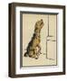 Dog in a Green Collar-Cecil Aldin-Framed Photographic Print