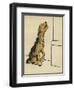 Dog in a Green Collar-Cecil Aldin-Framed Photographic Print