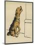 Dog in a Green Collar-Cecil Aldin-Mounted Photographic Print