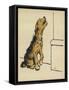 Dog in a Green Collar-Cecil Aldin-Framed Stretched Canvas