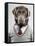 Dog in a sweater-Justin Paget-Framed Stretched Canvas