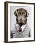 Dog in a sweater-Justin Paget-Framed Photographic Print