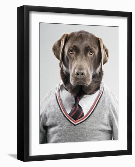 Dog in a sweater-Justin Paget-Framed Photographic Print